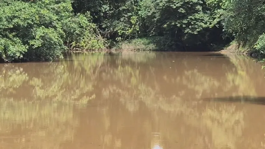 Crisis ambiental por contaminación de ríos
