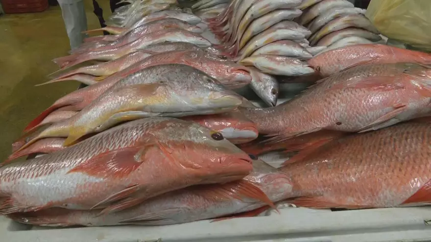 Panamá marca hito histórico con la exportación de productos del mar.