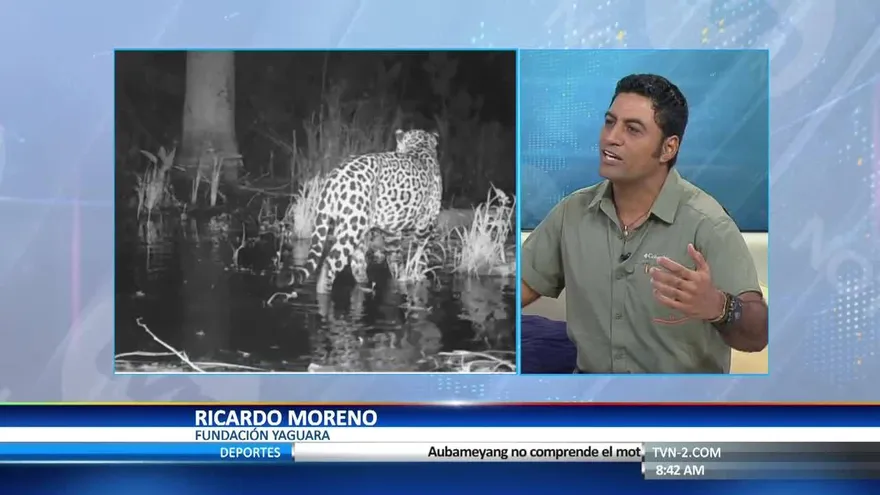 Conoce a otro de los nominados a ‘Héroes Por Panamá’