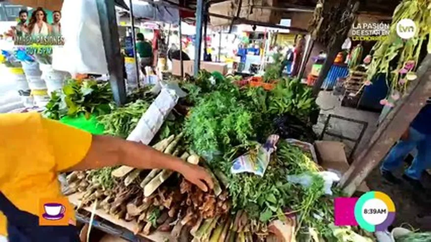 Robin desde Calidonia