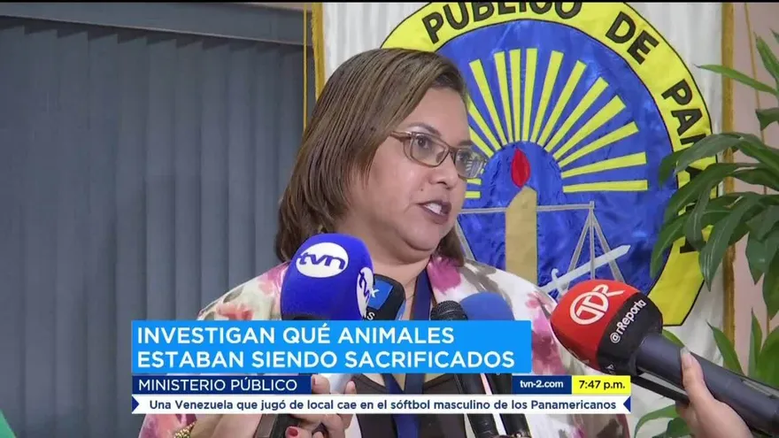 Ministerio Público inicia investigación por sacrificio de animales