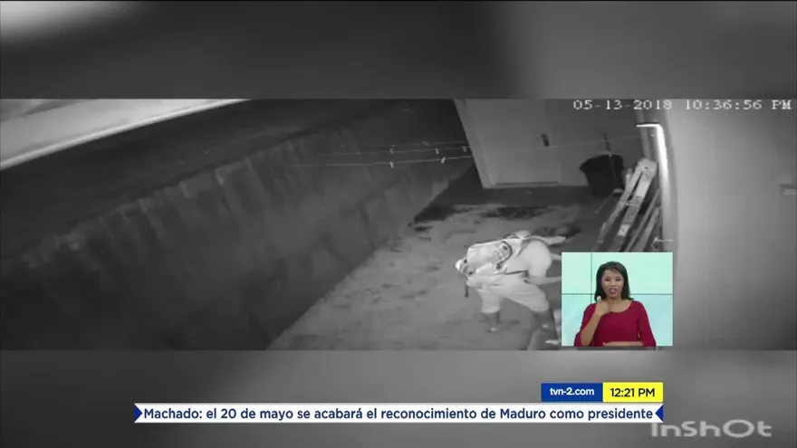 Denuncian robos en El Limón de La Chorrera