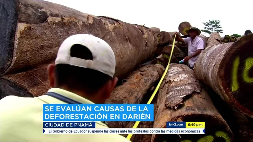 Comisión sobre deforestación del Darién sigue investigaciones