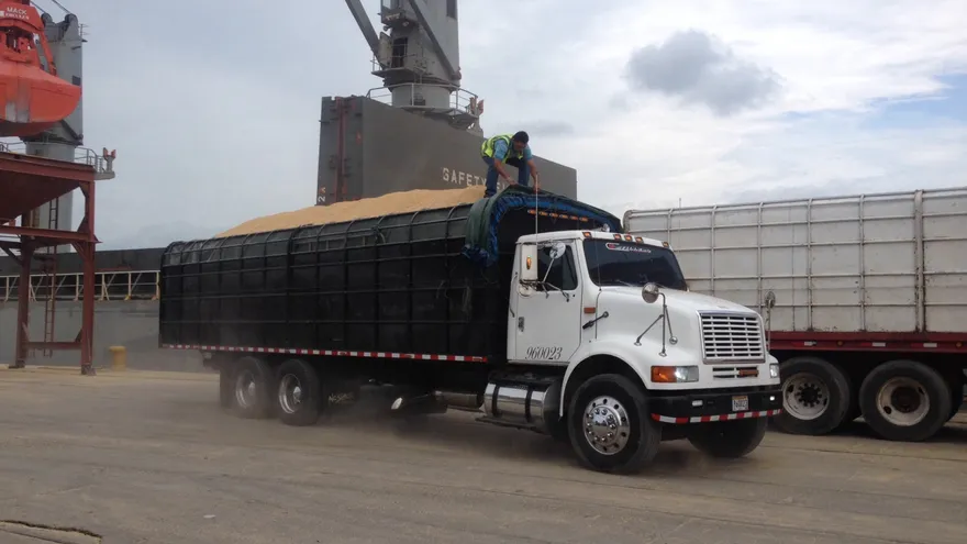 Llega contingente de 450 mil quintales de arroz.