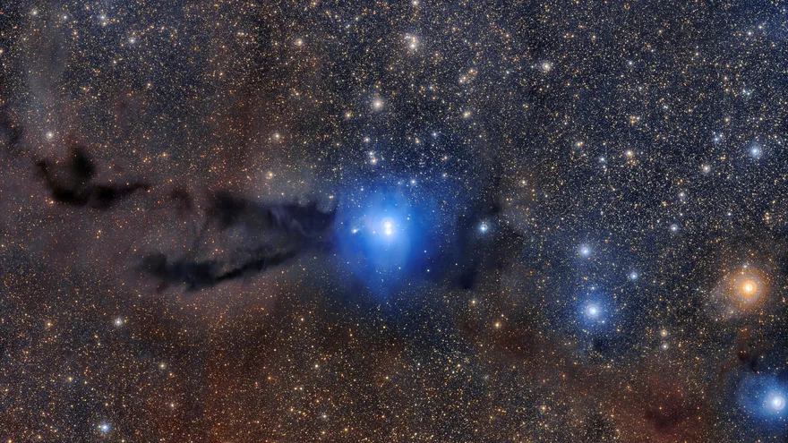 Una nube oscura de polvo cósmico serpentea a través de esta imagen espectacular de campo amplio, iluminada por la luz brillante de nuevas estrellas