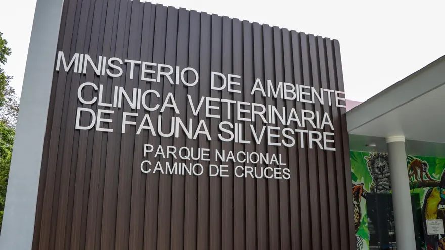 Clínica Veterinaria de Fauna Silvestre