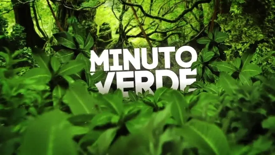 Minuto Verde: Los efectos de la quema, tala y desperdicio de agua