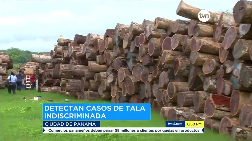 Autoridades han condenado a ciudadanos por delitos ambientales