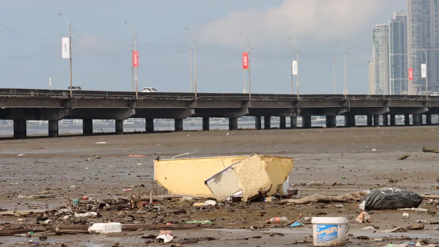 Contaminación ambiental afecta las playas y áreas de manglares de Panamá