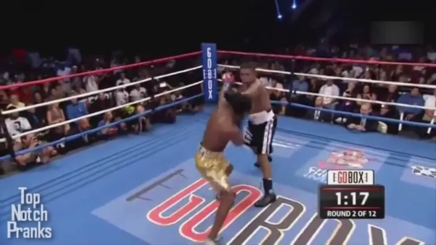 Mosley destruyó a Mayorga en dos asaltos