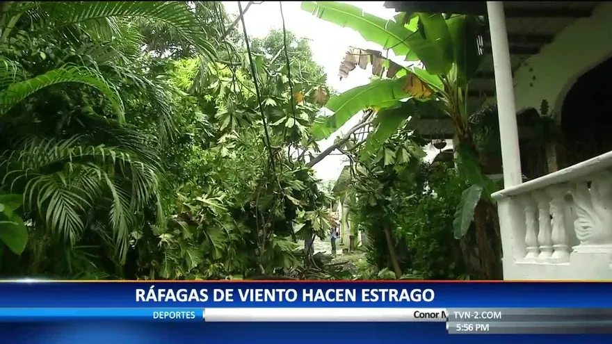 Ráfagas de vientos causan estragos en la capital