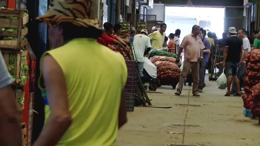 La larga espera por la Cadena de Frío