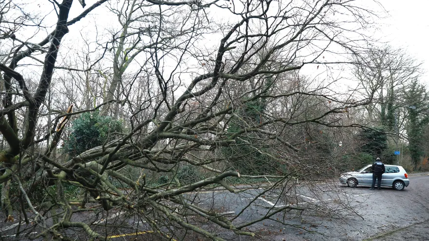 Un árbol caido impide el paso a los vehículos en una carretera en Harrow, al noroeste de Londres (Reino Unido) este 3 de enero