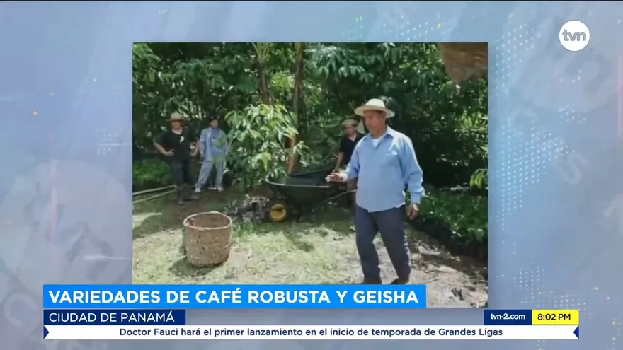 Café panameño en Israel