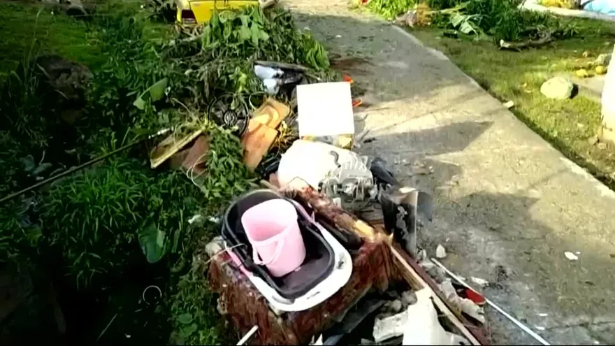 Piden operativos de salud por plaga de ratas en Samaria