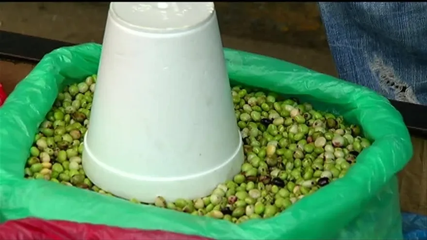 Sube el precio del guandú