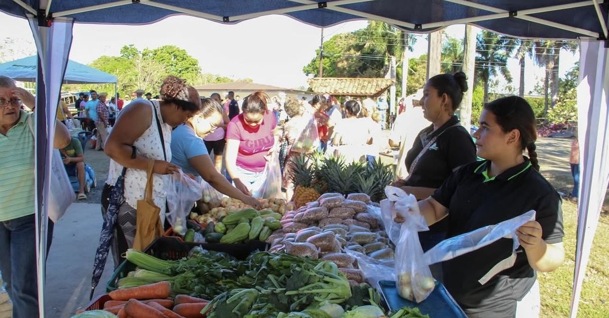 Agroferias del IMA: Conozca dónde se realizarán este jueves