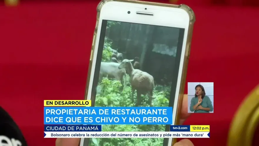 Polémica por supuesto perro que era cocinado en un restaurante
