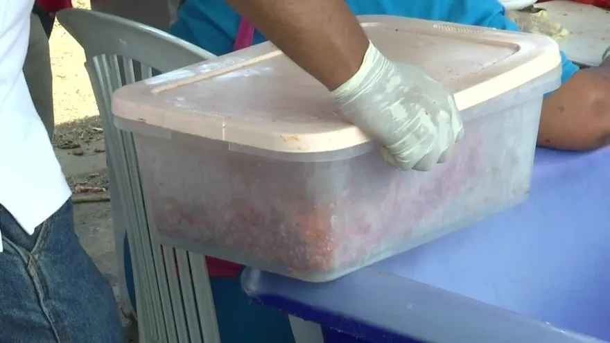 Decomisan comida en mal estado en la Cinta Costera