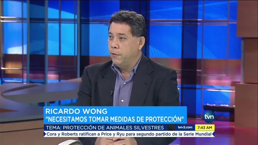 Protección del medio ambiente debe estar presente en las agendas de Gobierno