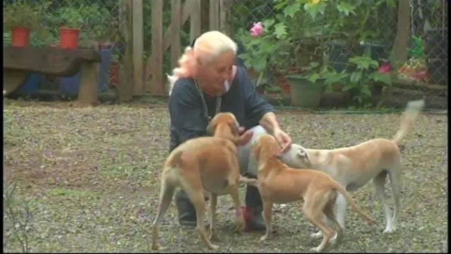 Mujer extranjera es brutalmente golpeada en Pedasí