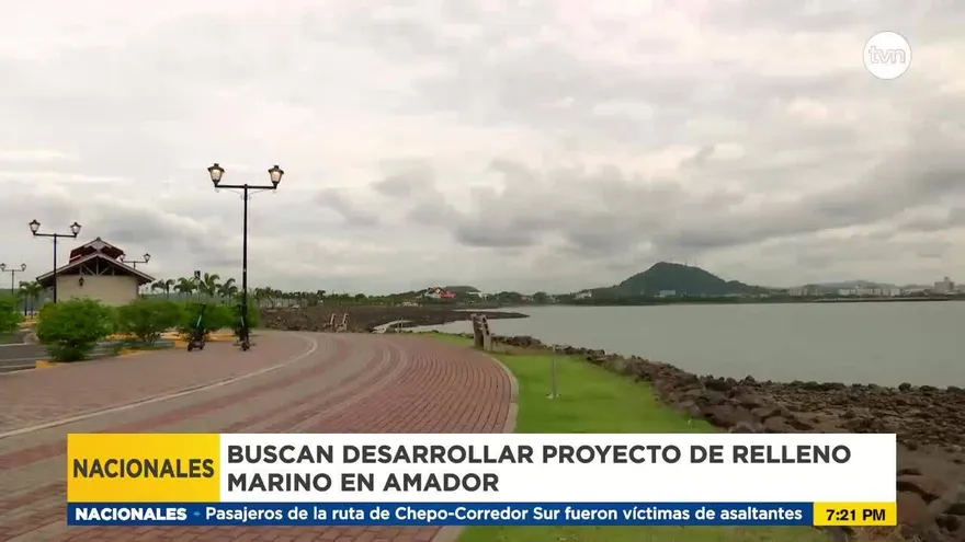 Empresa buscar obtener permisos para relleno en la Calzada de Amador