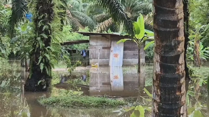 Parte de las afectaciones registradas en la provincia de Chiriquí tras las fuertes lluvias producidas por el efecto indirecto del huracán Melissa.