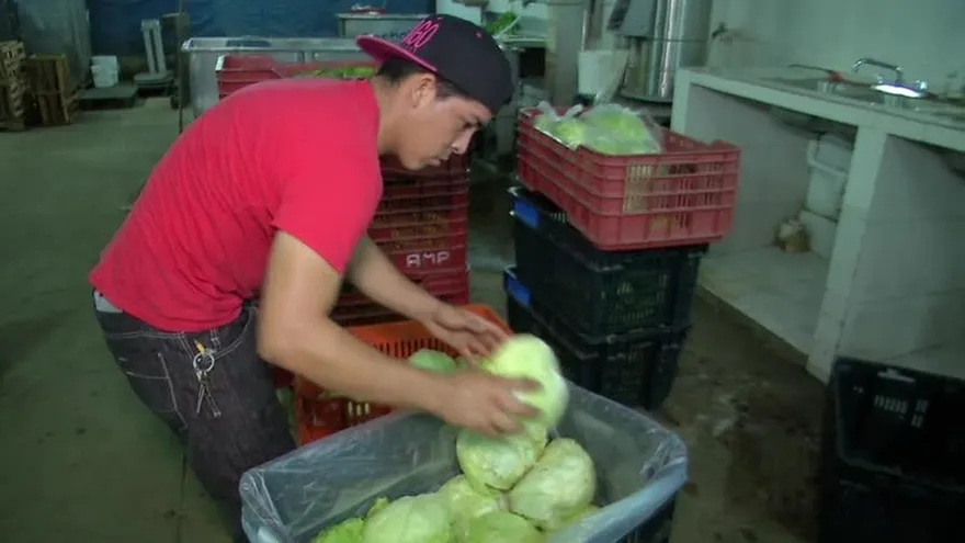 Productores desean utilizar el nuevo mercado