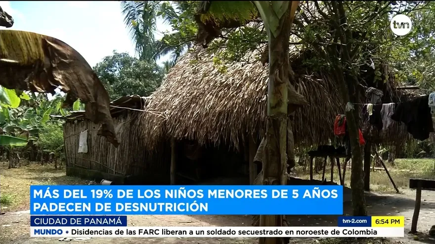 Más del 19% de los niños menores de 5 años padecen de desnutrición