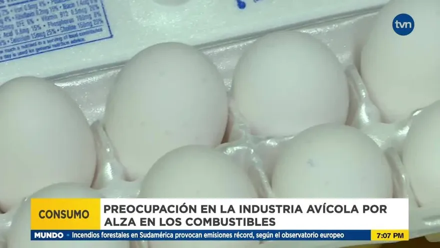 Avicultores preocupados por alza de combustibles