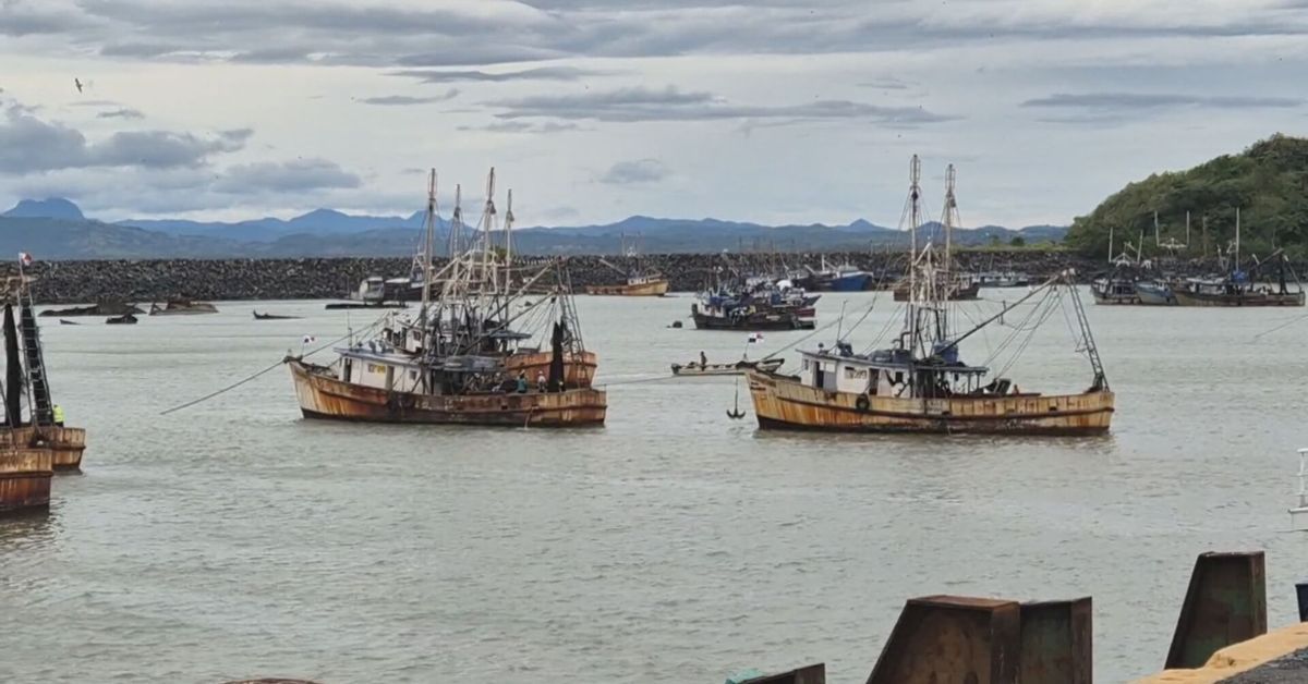 Finaliza veda del camarón: ARAP anuncia inicio de primera temporada de pesca hasta el 31 de agosto