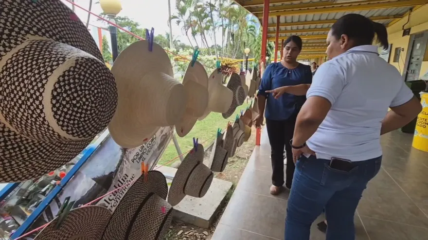 Sombreros elaborados por artesanos de la provincia de Coclé
