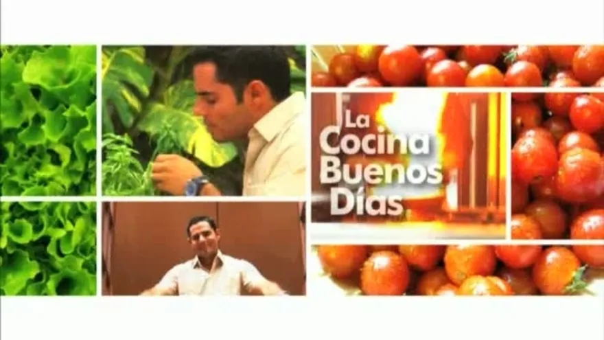 Canelones Rellenos de Espinacas y Queso Ricotta