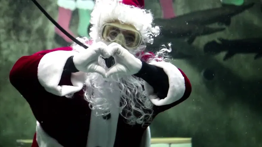 Un Santa Claus acuático es la estrella de un acuario en México