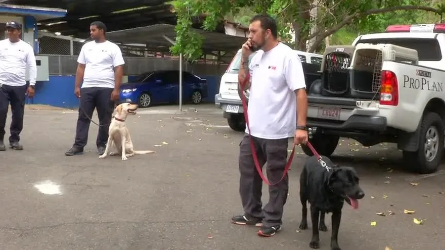 Testimonios de rescatistas panameños que estuvieron en Ecuador