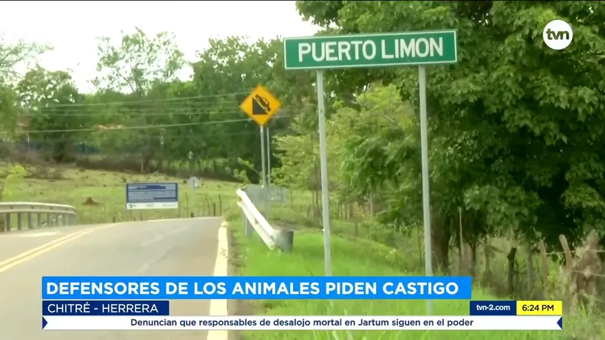 Defensores de los animales piden castigo