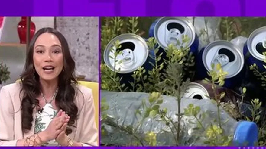 Día mundial del Medio Ambiente