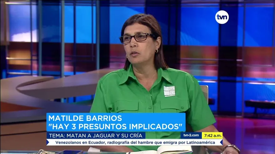 Buscan crear conciencia sobre conservación de los jaguares