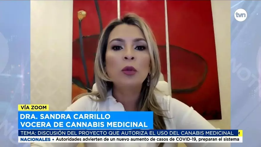 Discusión del proyecto que autoriza el uso del cannabis medicinal se encuentra estancada