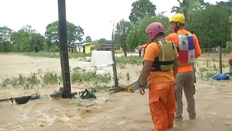 Pérdidas de siembras de arroz en Veraguas