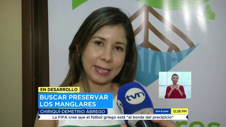 Buscan preservar manglares en Chiriquí