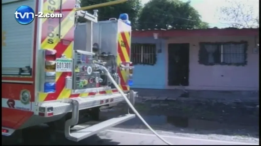 Cantidad de abejas se incrementan en temporada de mangos