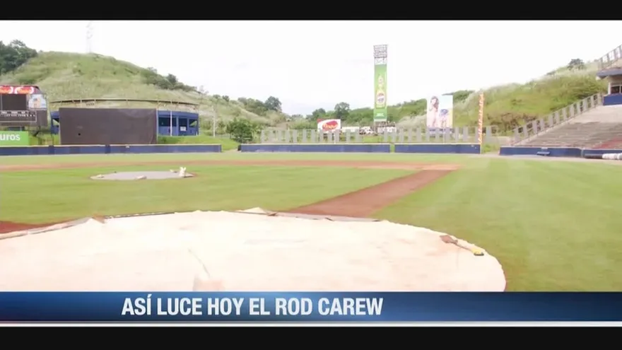 Así luce el estadio Rod Carew luego de trabajos en su grama