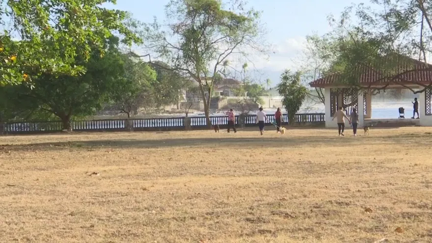 Serena Vamvas defiende demolición para habilitar acceso al Coco Parque