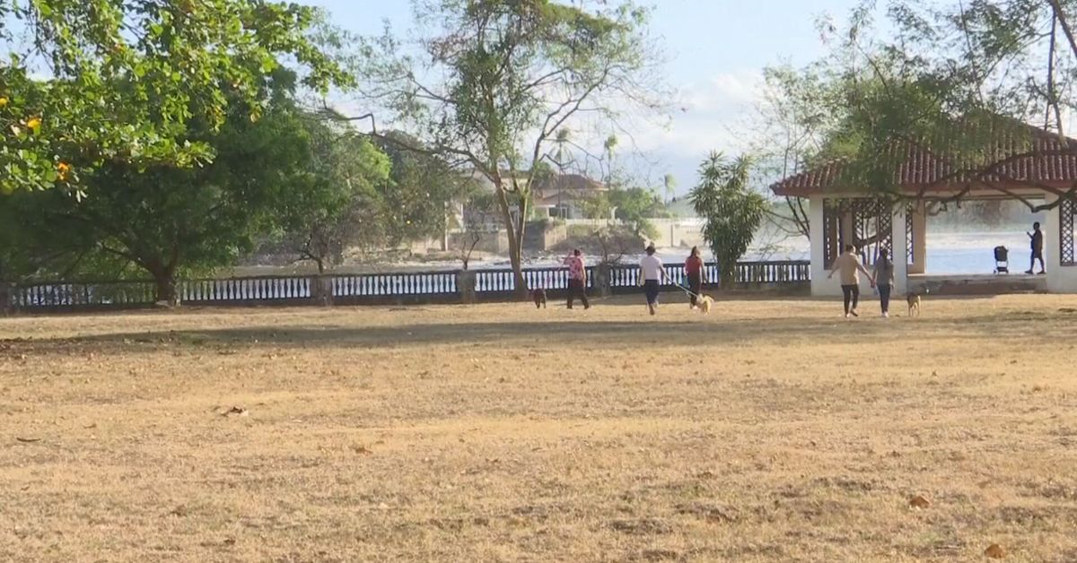 Coco Parque: Serena Vamvas defiende recuperación del acceso al terreno estatal