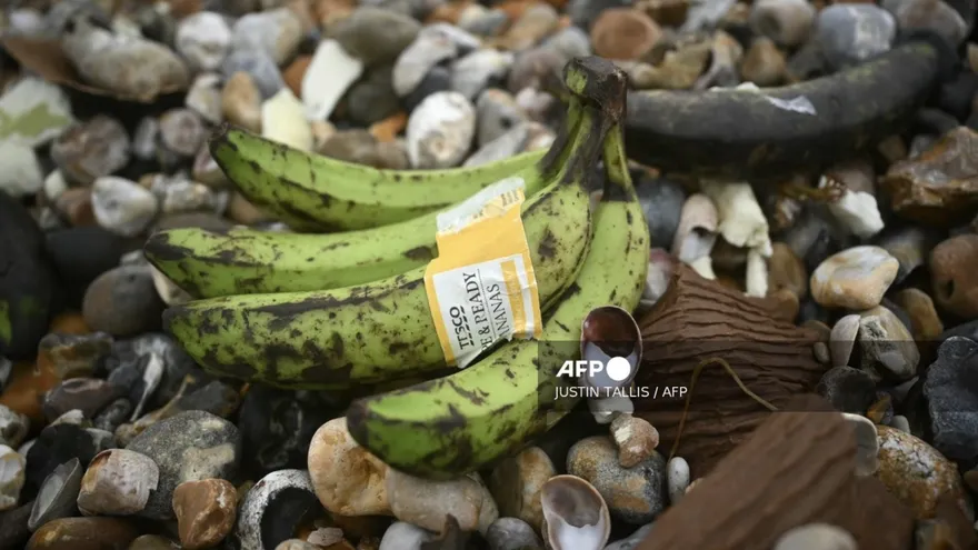 Una ola llena de plátanos llega a las costas inglesas