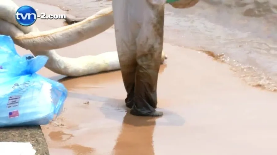 Derrame de combustible obliga al cierre de playas y comercios en Taboga