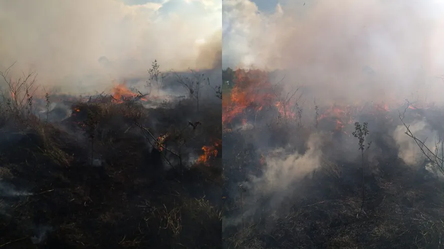 Un incendio de masa vegetal (Imave) afectó cerca de 10 hectáreas la tarde del jueves 25 de diciembre en la comunidad de Los Cantares, en el distrito de Tierras Altas, provincia de Chiriquí, en un área próxima al Parque Nacional Volcán Barú.