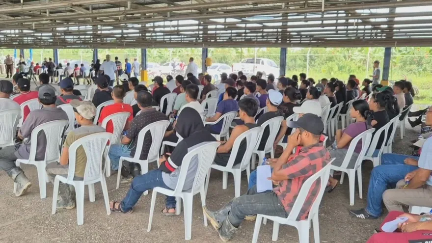 Feria de empleo de Chiquita Panamá se realiza en la empacadora Finca 45.