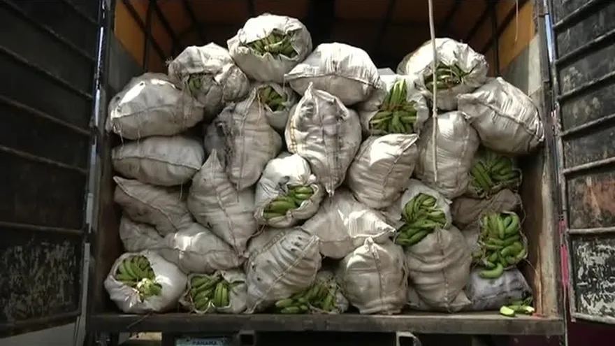 Retienen camión con contrabando de banano en Chiriquí